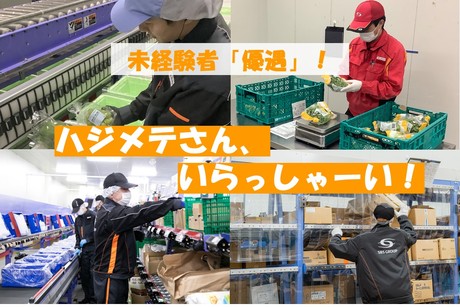 SBSゼンツウ株式会社 小山センターの正社員 倉庫内作業の求人情報イメージ2